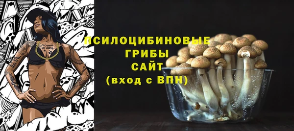 гидра Новодвинск