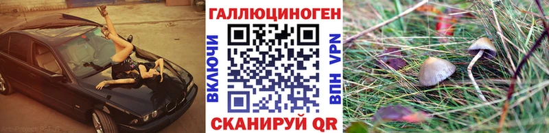 Псилоцибиновые грибы Cubensis  блэк спрут ССЫЛКА  Островной 